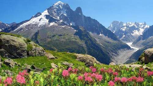 Nos chalets, appartements et terrains en vente dans le secteur d'Argentière et du haut de la vallée